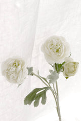 White Ranunculus Stem, Faux Persian Buttercup