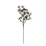 Gypsophila Cutting – Cinnamon 67cm Faux Baby's Breath