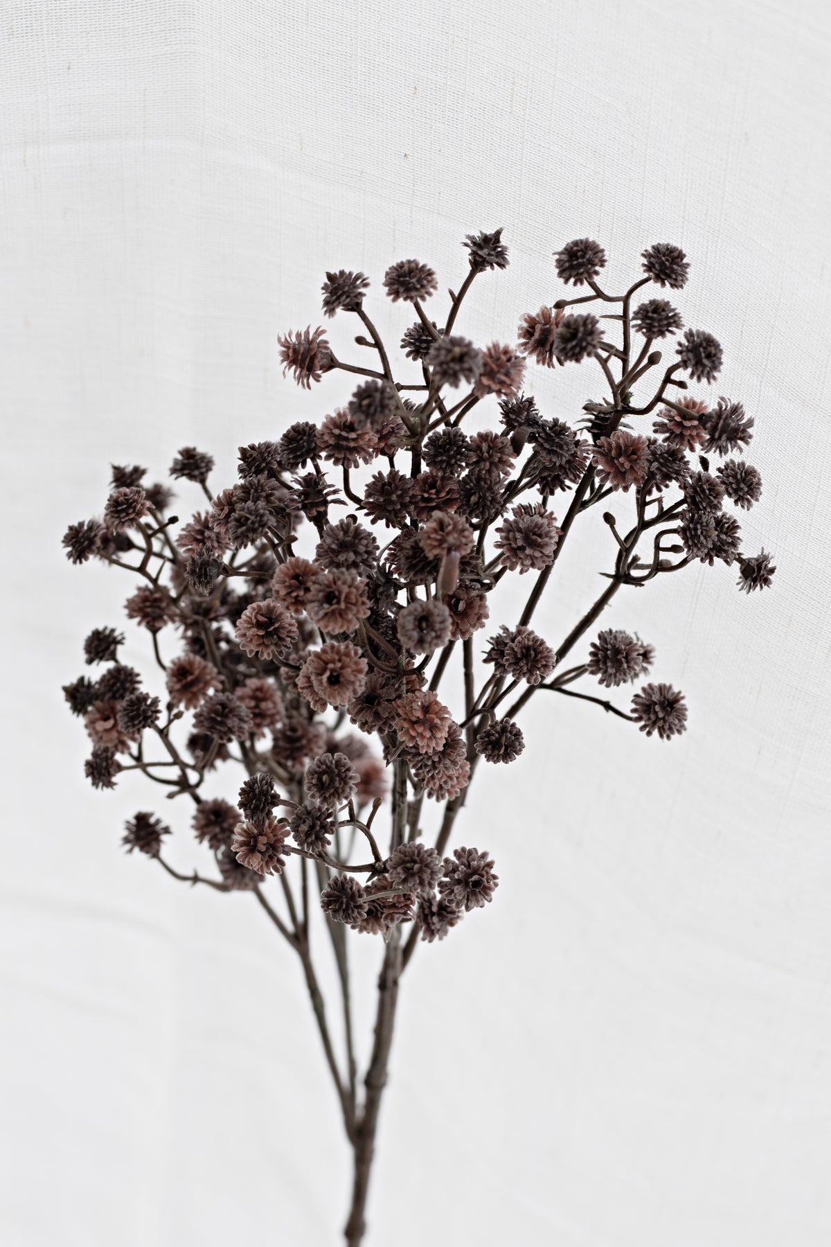 Close view of the deep shiraz gypsophila clusters against white linen