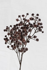 Gypsophila Cutting – Shiraz Faux Baby's Breath
