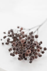 Gypsophila Cutting – Shiraz Faux Baby's Breath