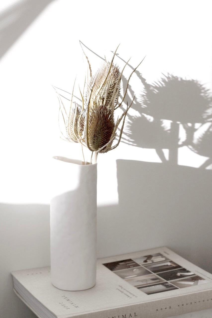 A white cylindrical vase holding a dried thistle in strong sun, standing on Soft Minimal
