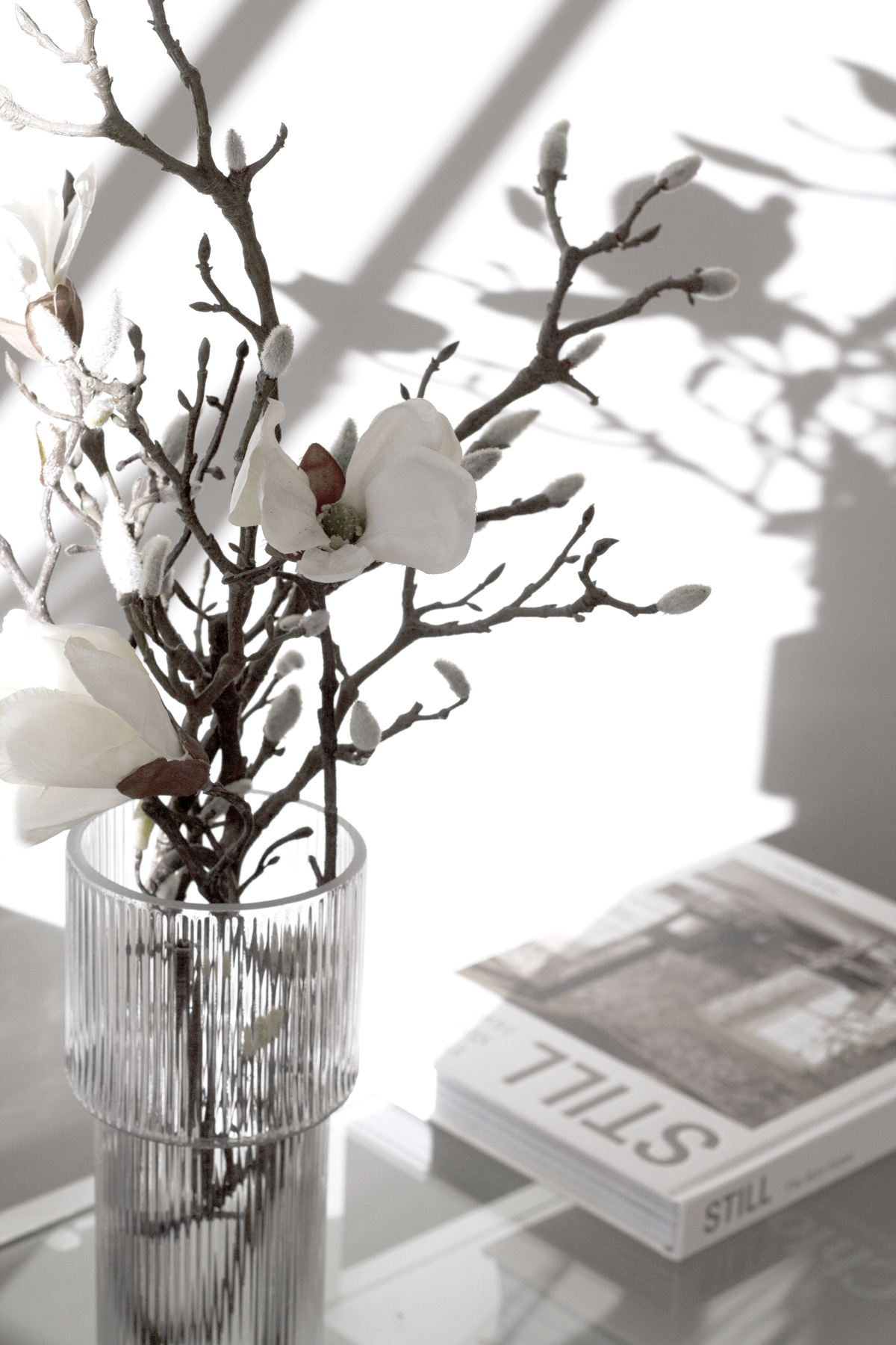 Ribbed glass vase of dark blossom branches on stacked books in strong sunlight