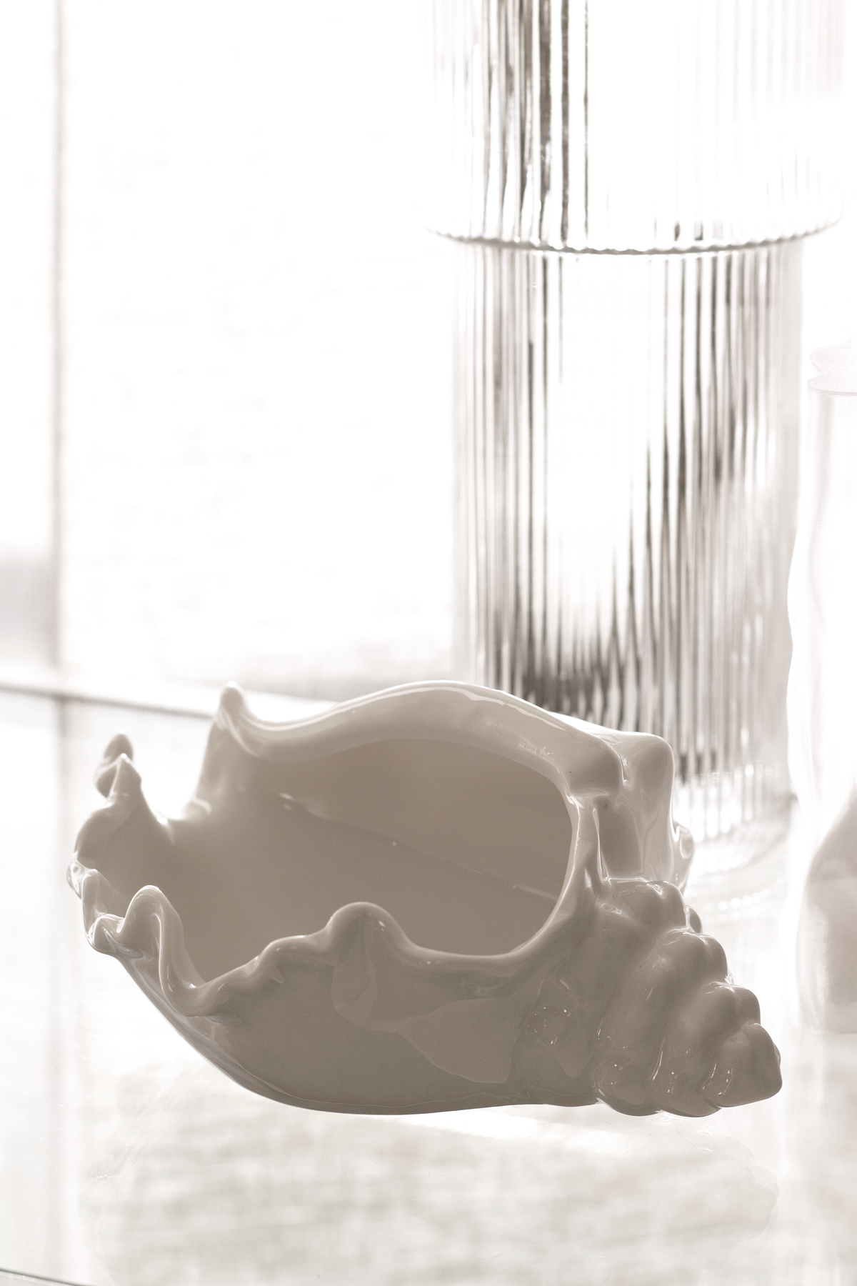 Conch bowl in soft high key light with a ribbed glass vase standing just behind it