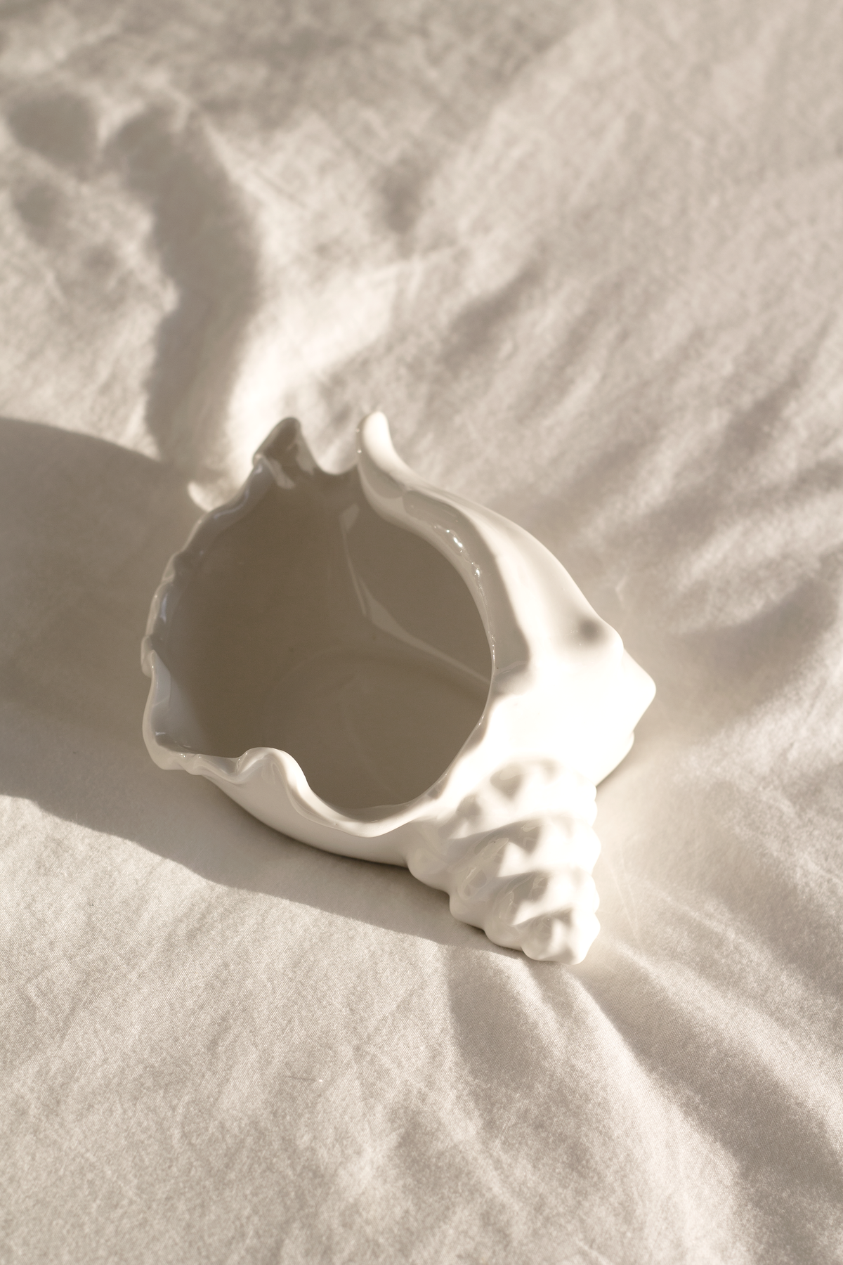 Conch bowl on white linen casting a long soft shadow across the fabric