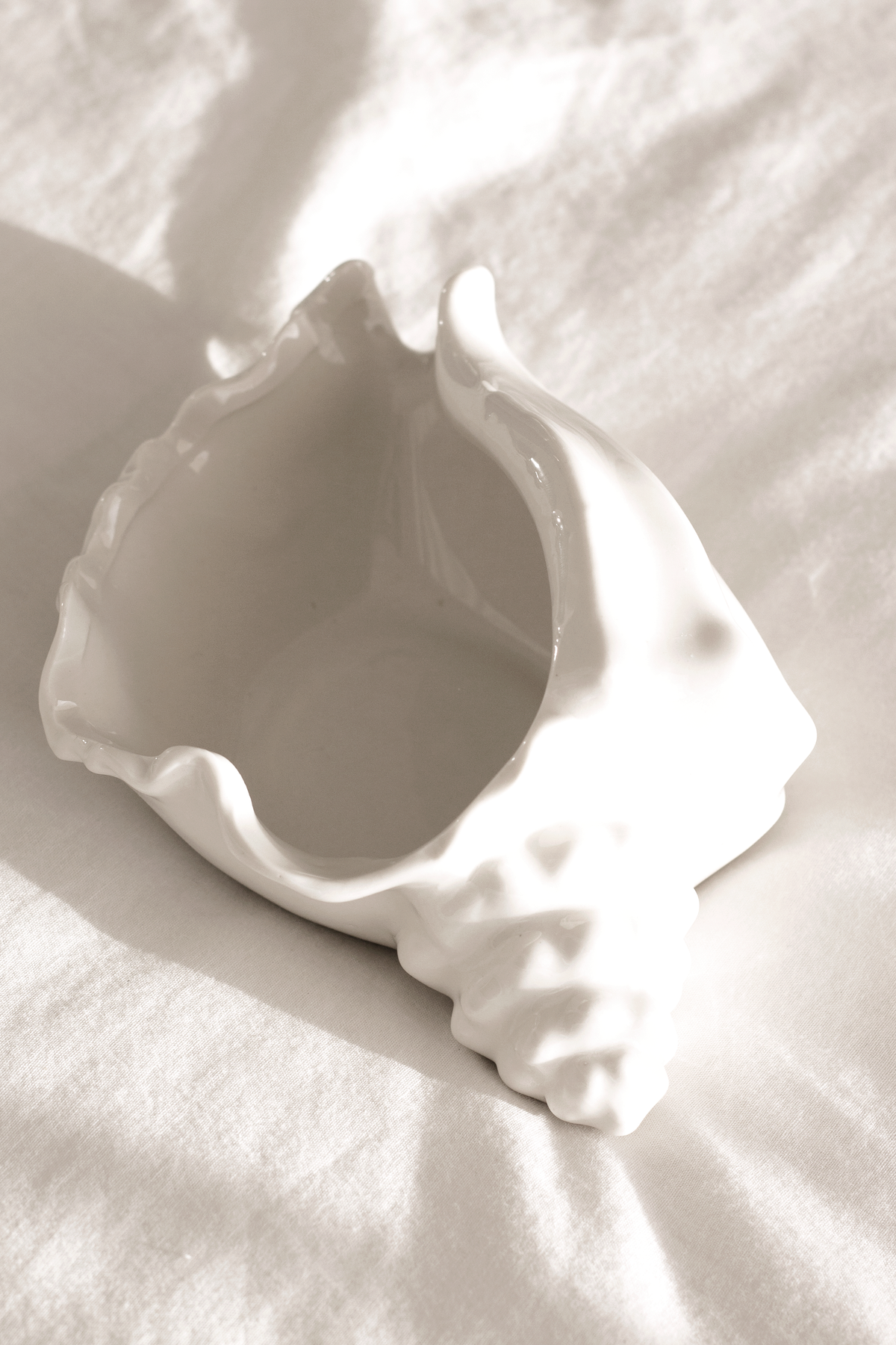 Conch bowl on rumpled white linen, warm side light picking out the ridges
