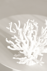 Artificial Coral - White