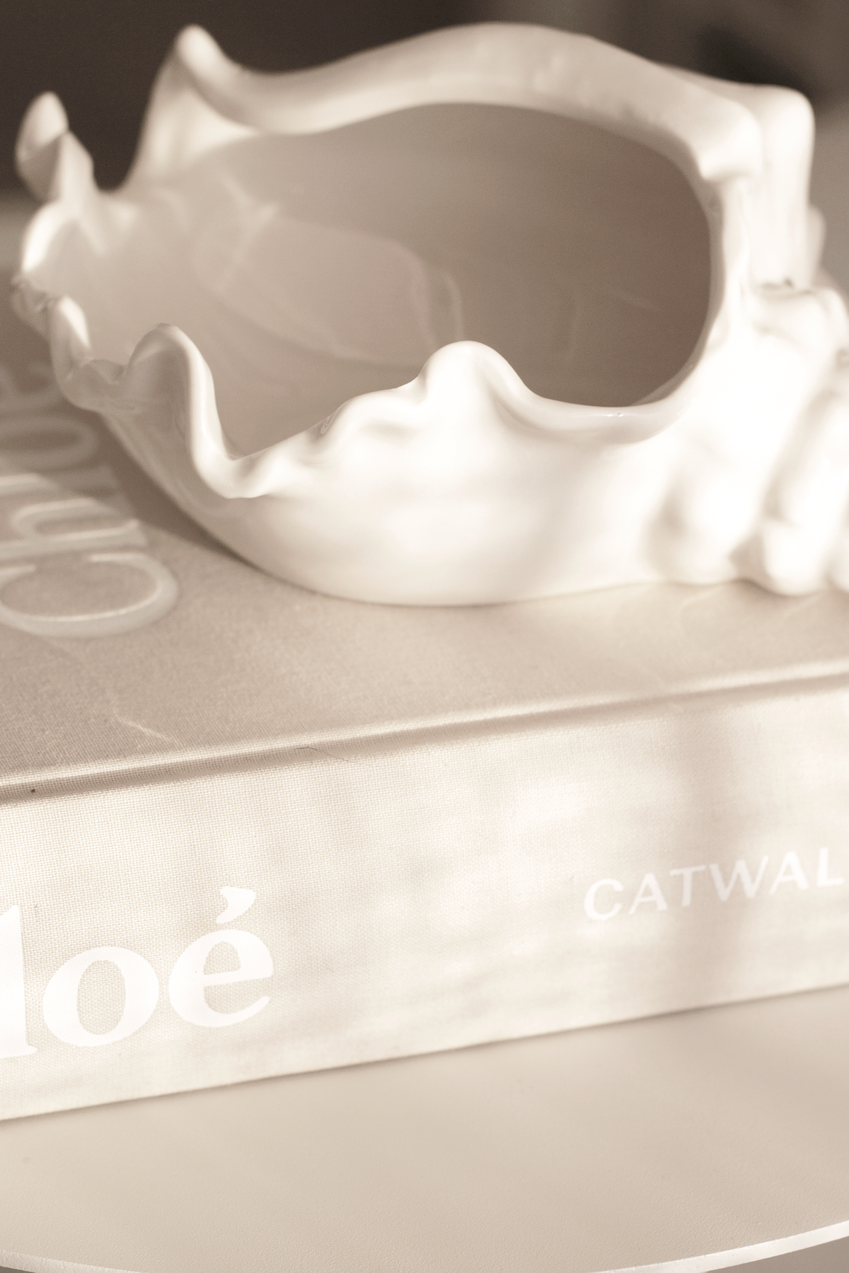 Close warm toned view of the conch bowl perched on a stack of hardback books