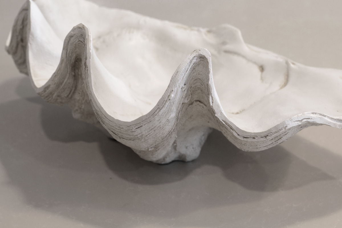 Close view of the clam shell's rippled edge and hollow interior, showing the cast texture