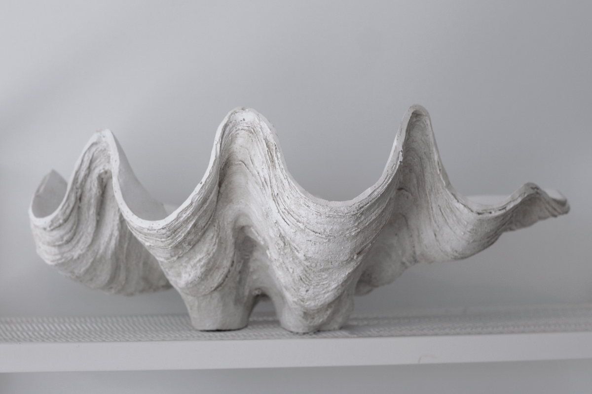 Clam shell bowl straight on at eye level, the ridged fluting running across each wave