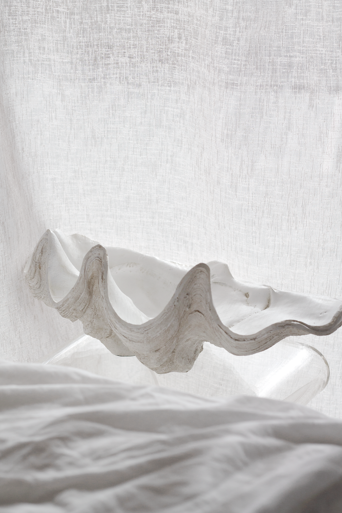 Clam shell bowl low against a sheer linen curtain with rumpled white bedding below