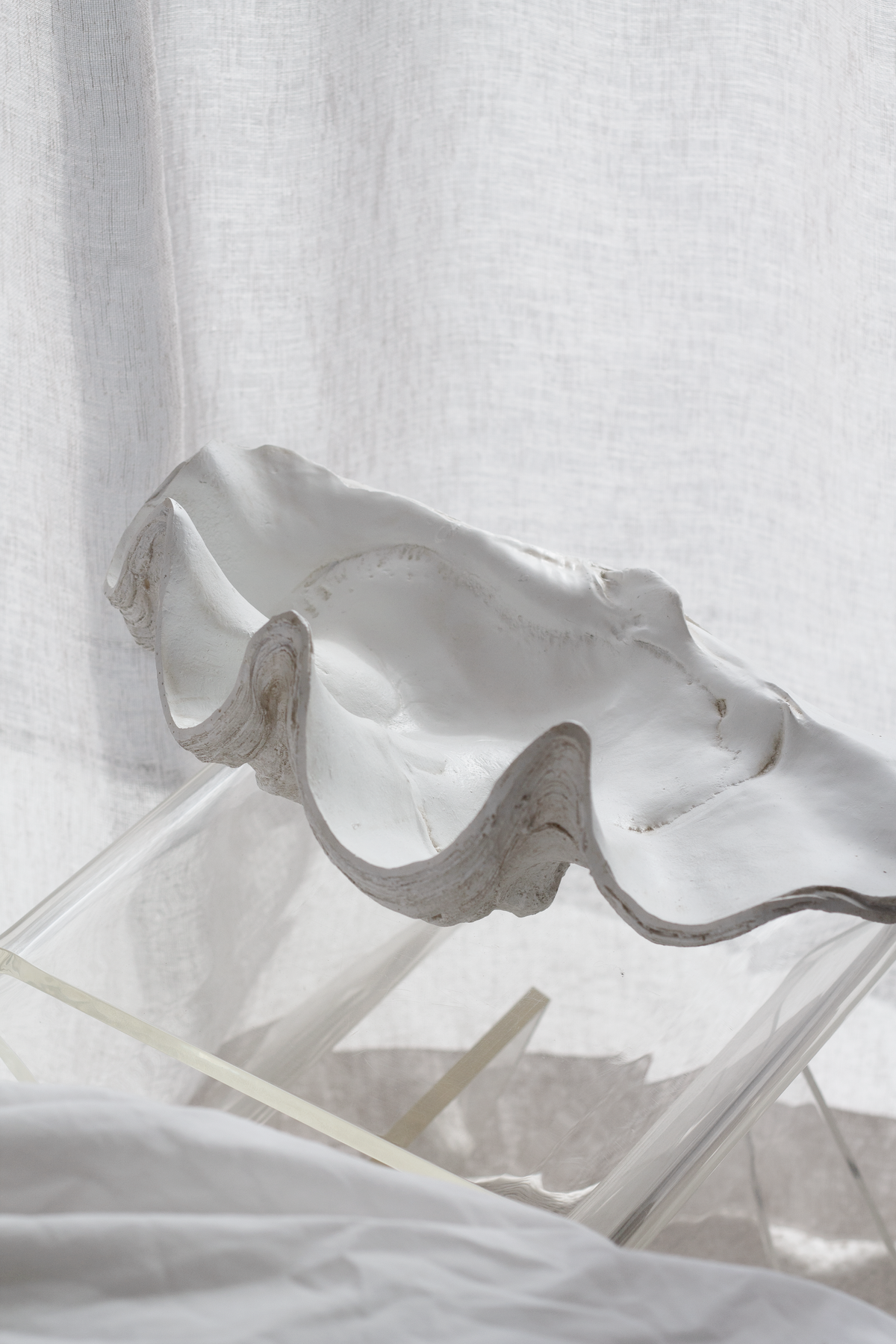 Clam shell bowl on a clear acrylic table with sheer linen curtains filtering the light