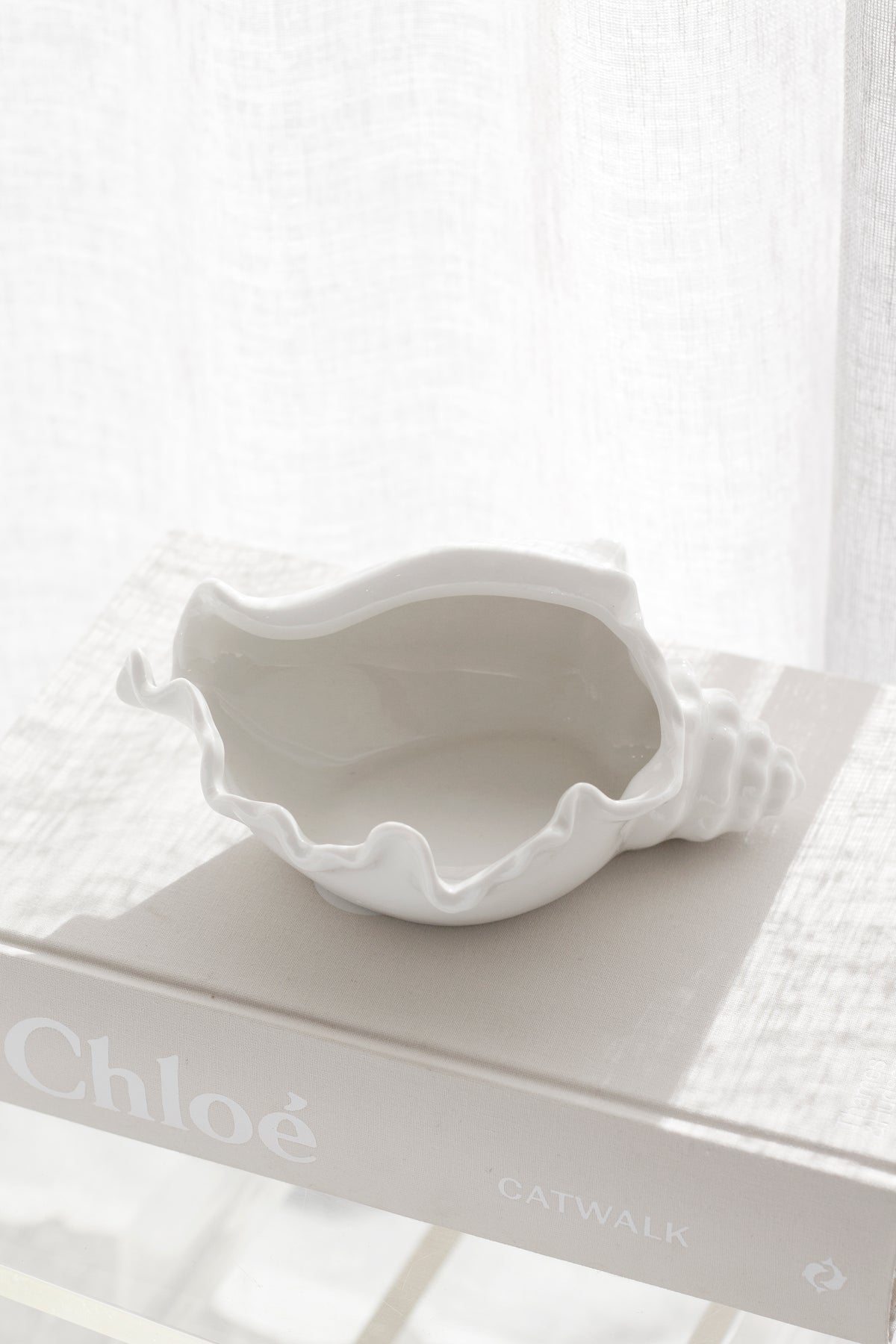 Conch bowl resting on a book in soft daylight with a sheer curtain behind