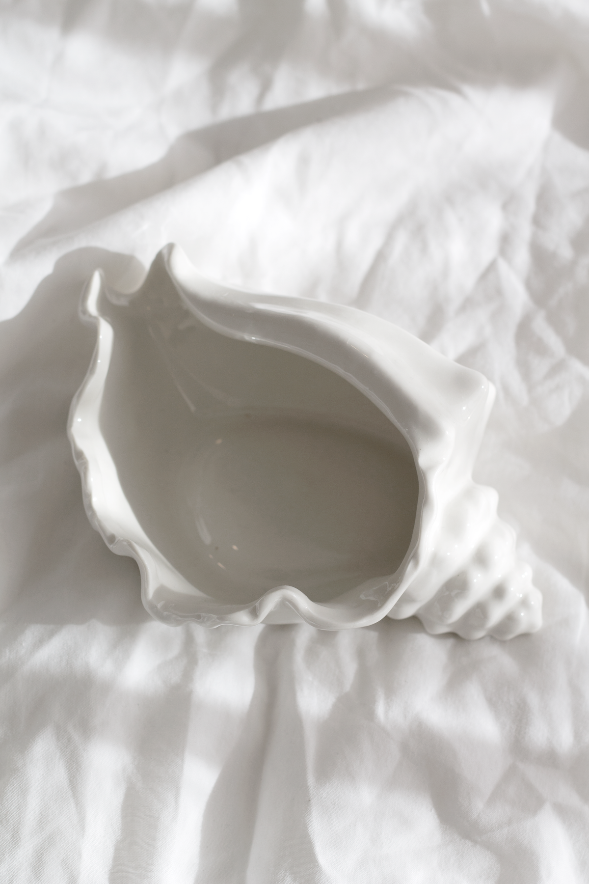 Conch bowl seen from above on crumpled white bedding
