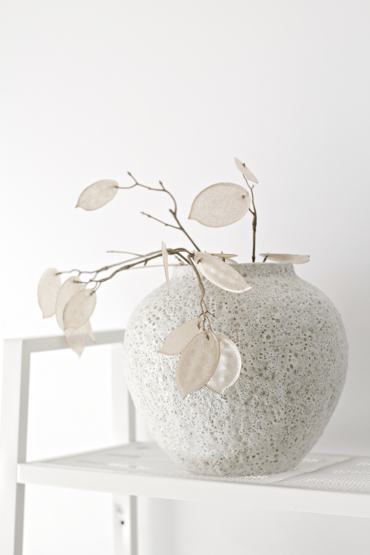 Short Seafoam vase of honesty stems on a white shelf against a pale wall