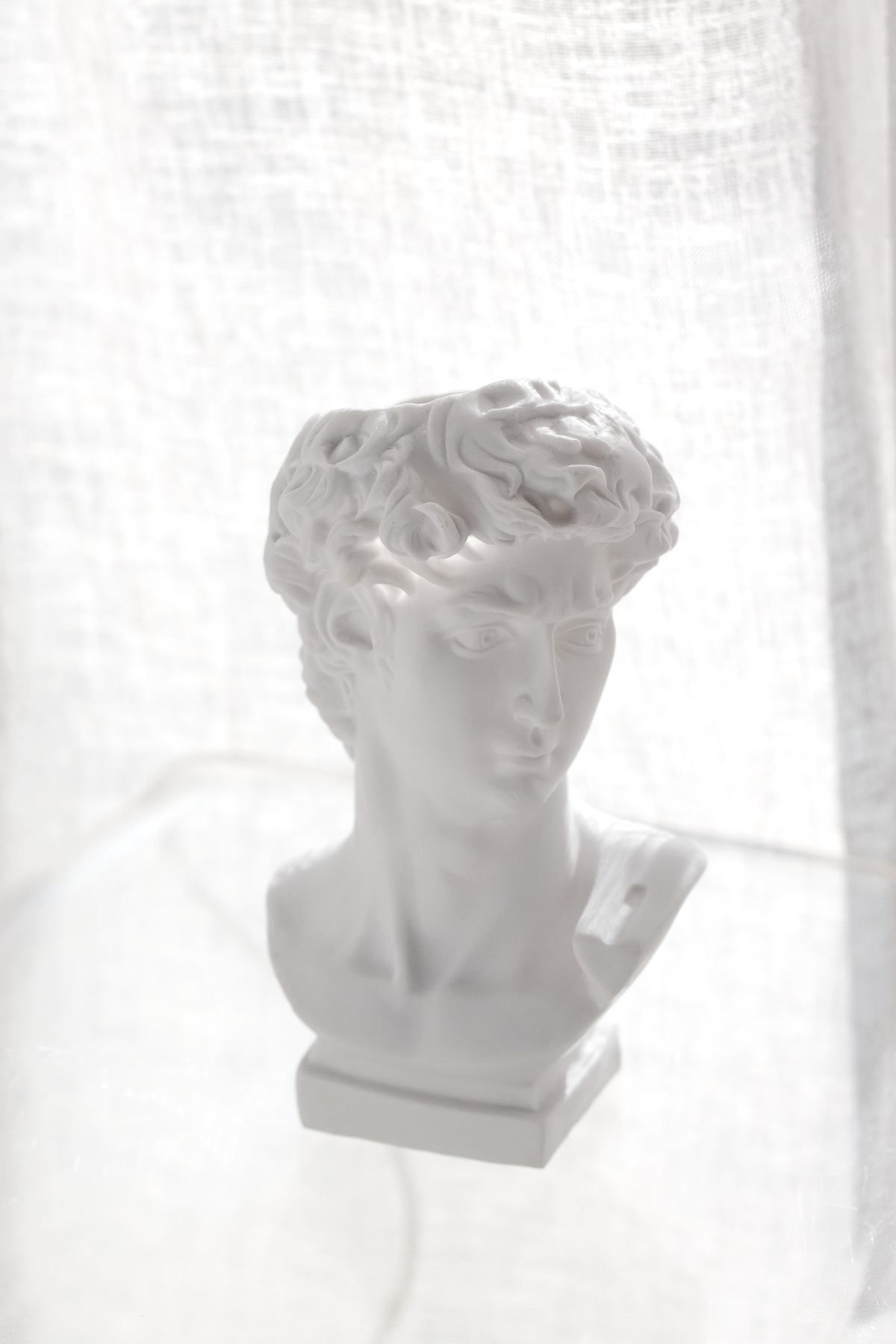 David bust vase backlit against sheer linen, profile in soft silhouette