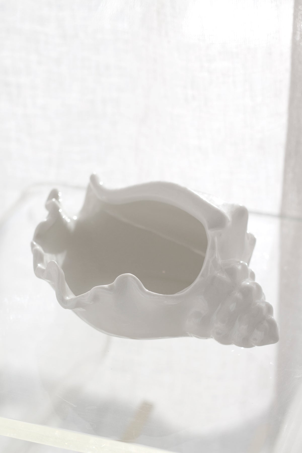 Conch bowl on a clear acrylic surface with a pale linen backdrop