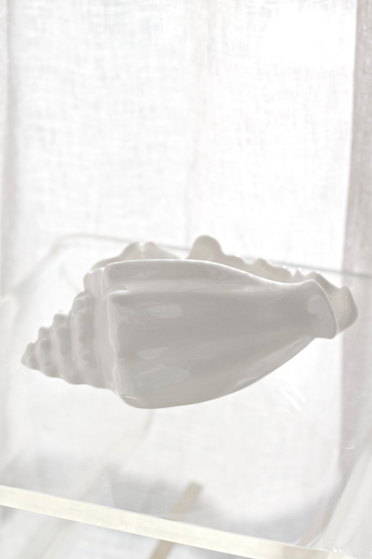 Conch bowl on a clear surface, sheer linen diffusing the daylight around it