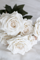 Champagne Rose Bundle - 7 Heads