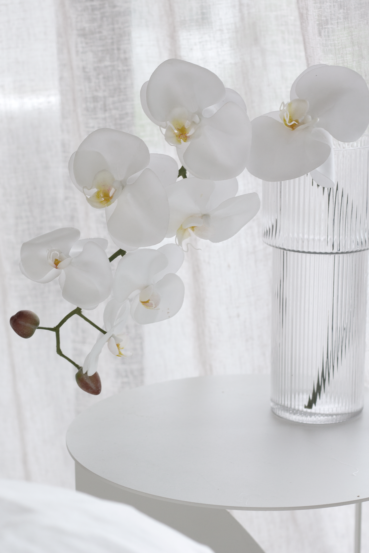 Ribbed glass vase with a white orchid on a round table, sheer curtain behind