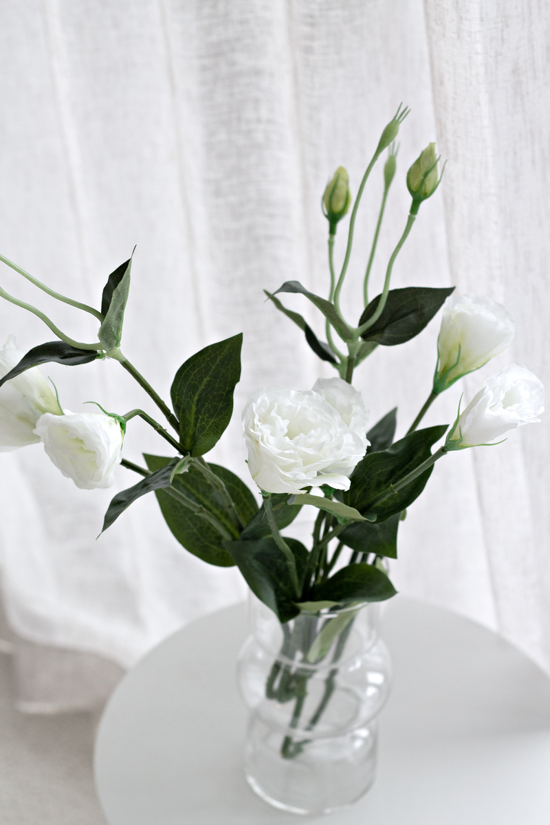 White Lisianthus / Eustoma