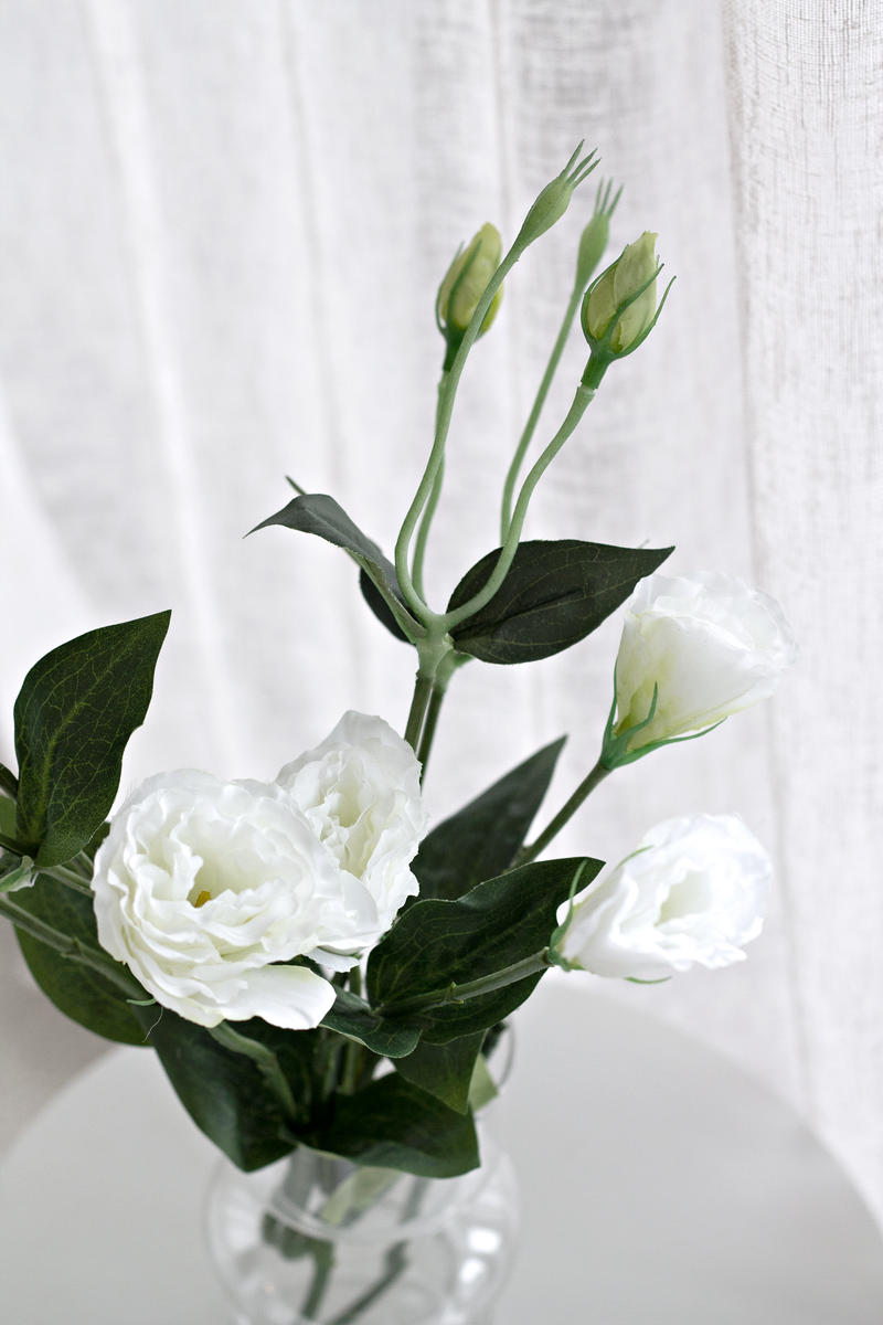 White Lisianthus / Eustoma