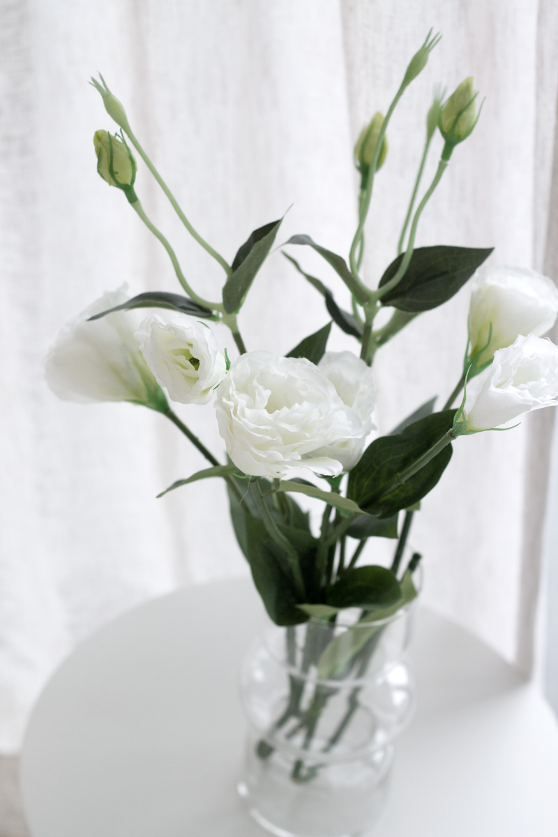 White Lisianthus / Eustoma