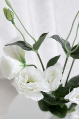 White Lisianthus / Eustoma