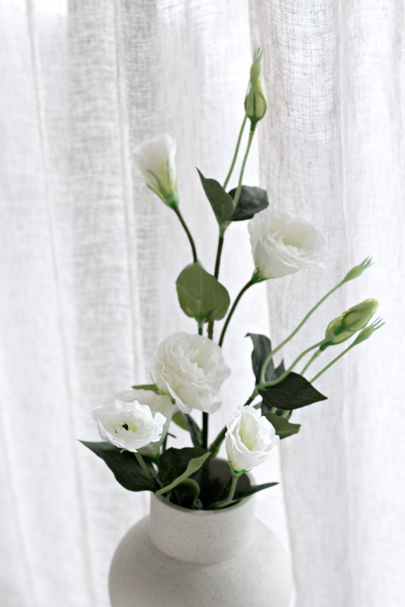 White Lisianthus / Eustoma