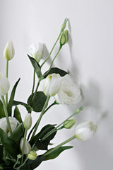 White Lisianthus / Eustoma