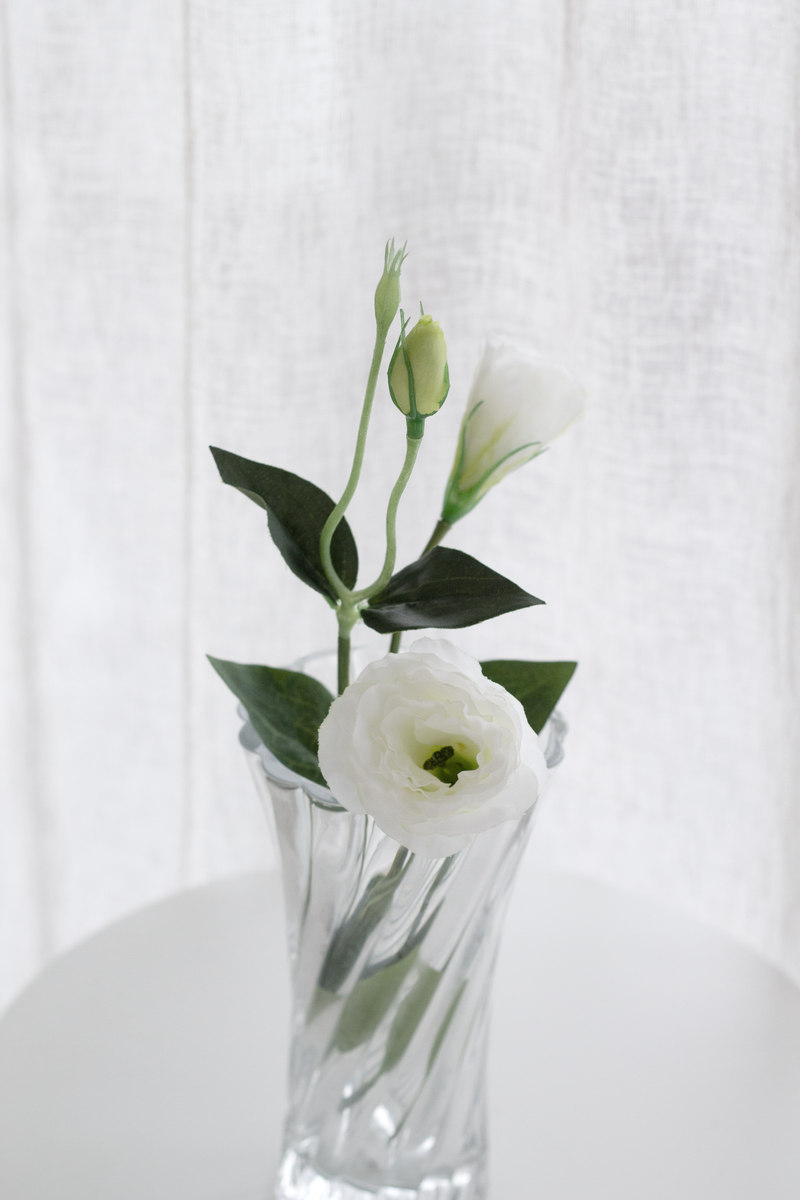 White Lisianthus / Eustoma