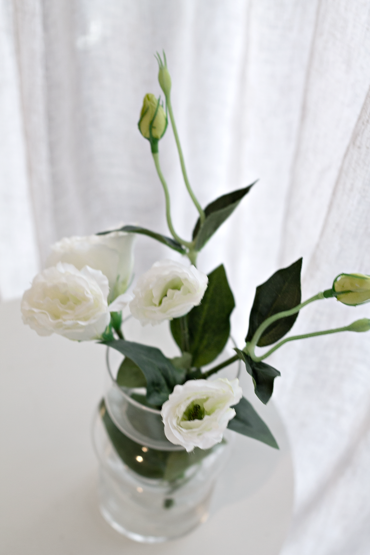 Clear Shea glass vase holding white lisianthus stems against a sheer curtain