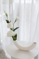 White Lisianthus / Eustoma