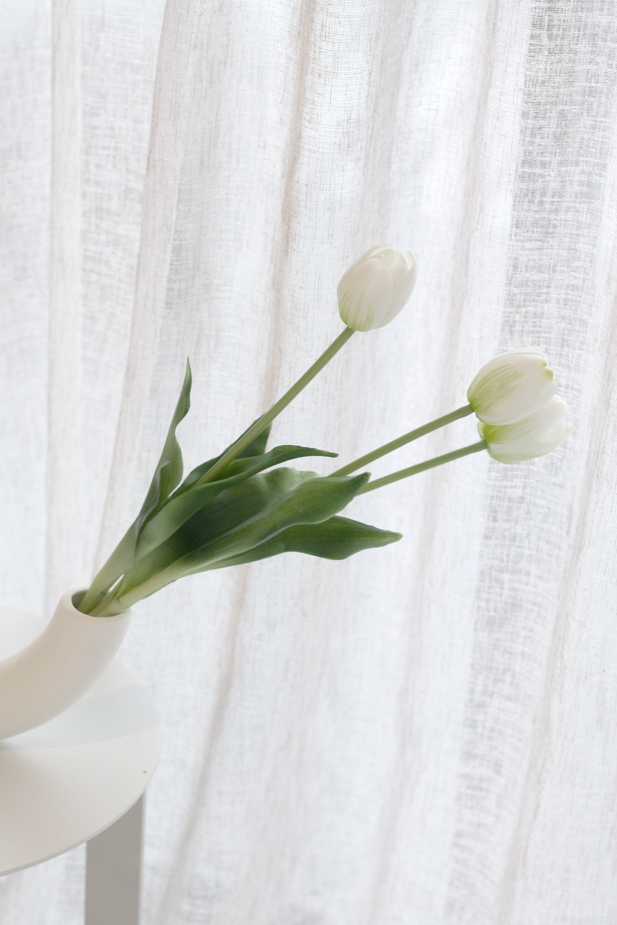 Close on two white tulips lifting from the half pipe vase against a linen curtain
