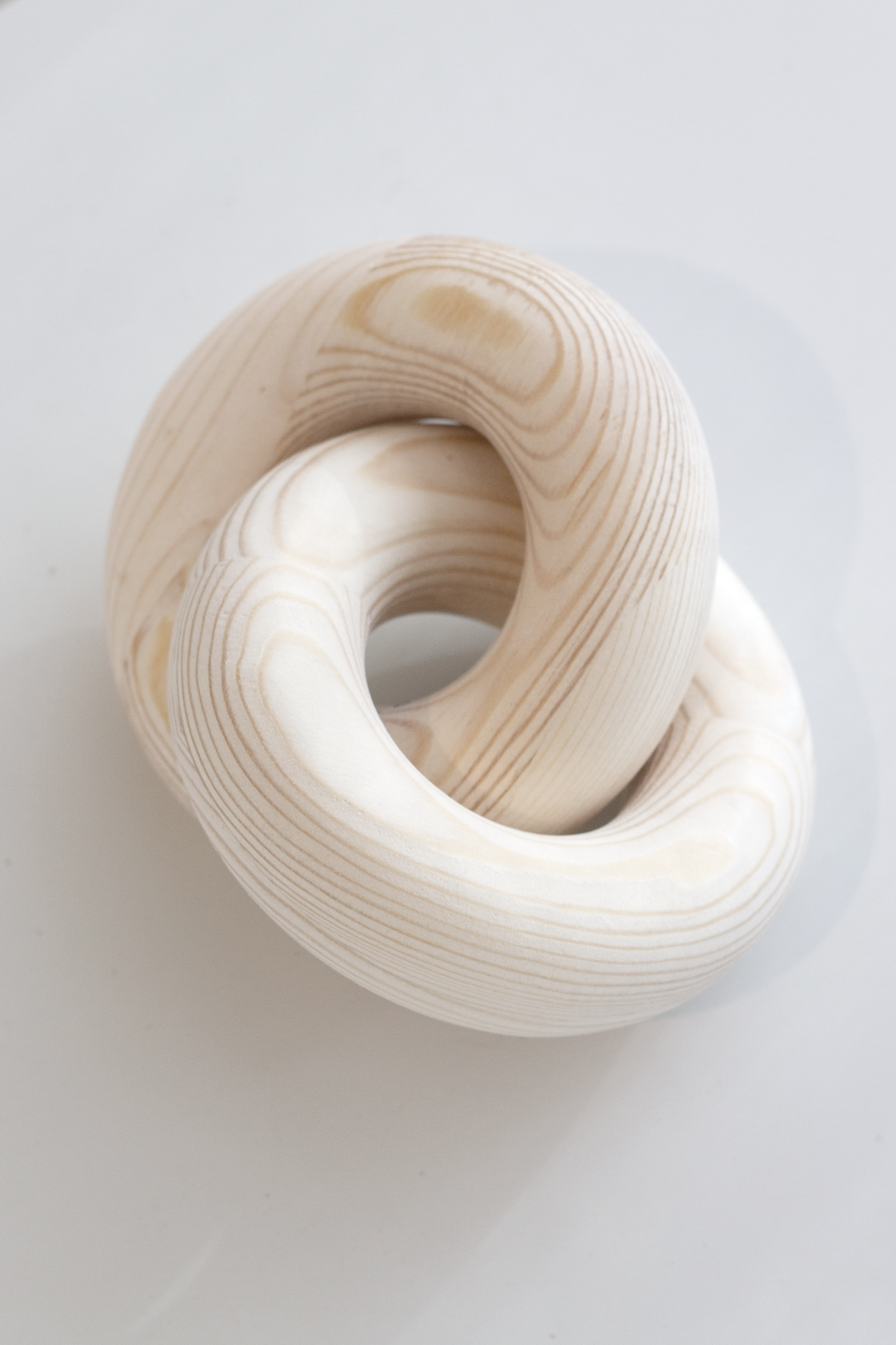 Natural wood knot sculpture from above, showing the pale grain rings