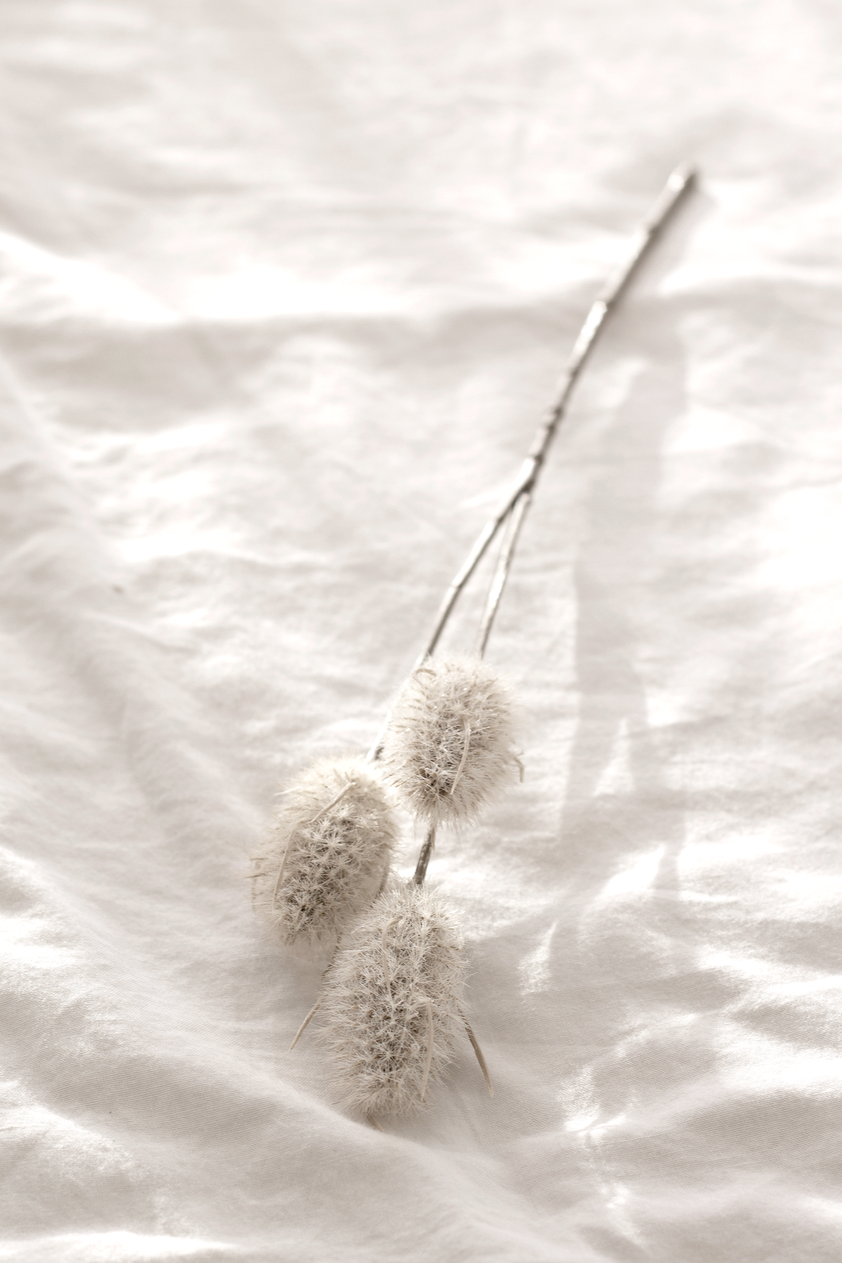 Faux bunny tail pick lying on crumpled white linen