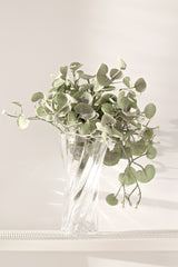 Silver Falls Bush 30cm