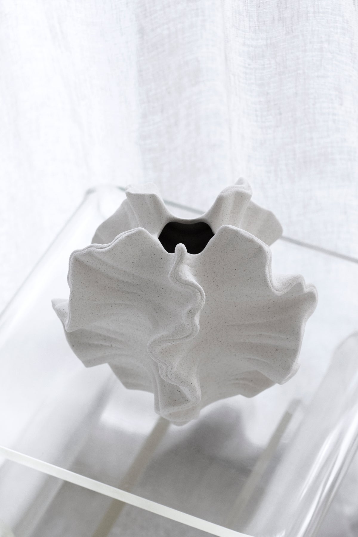 Looking down into the coral vase on a clear acrylic table, showing the narrow opening