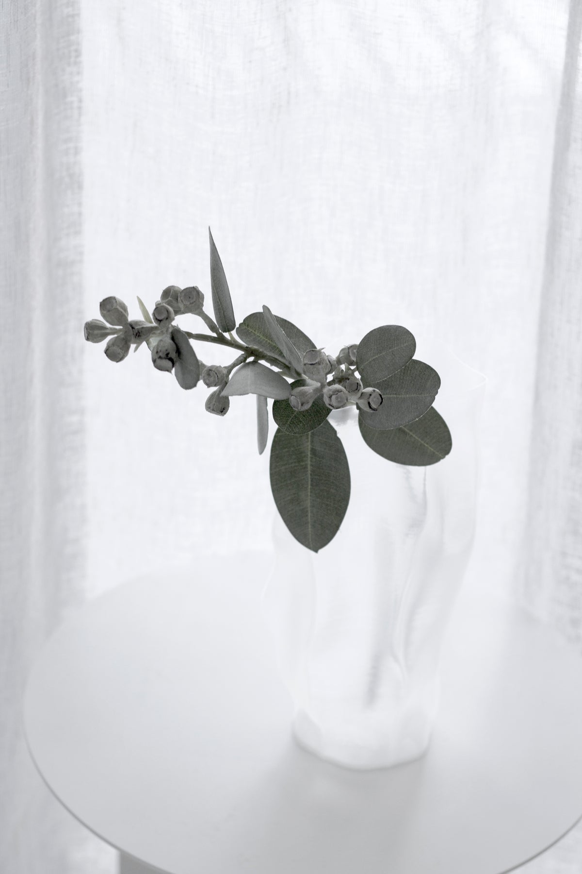 Mini Eucalyptus Pod Spray, 40cm Faux Stem