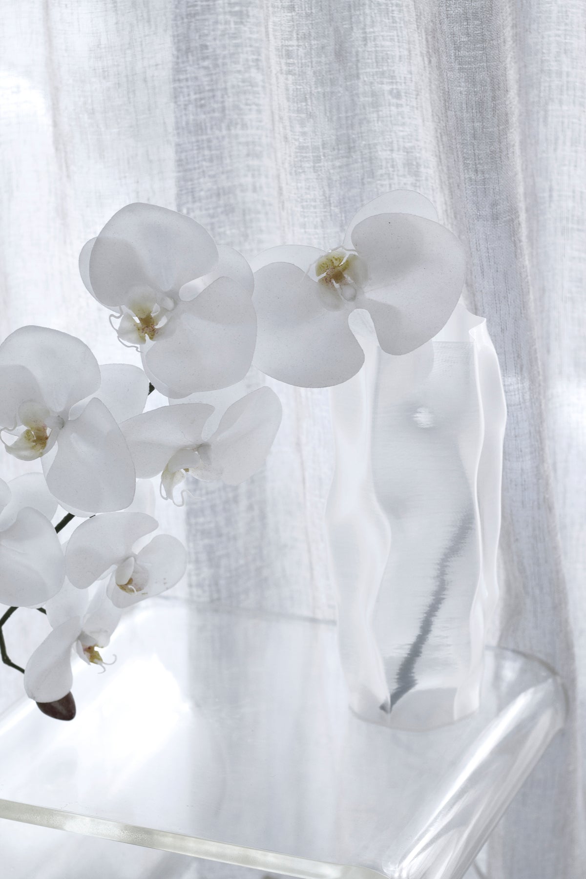 Orchid stems and the ripple vase seen through a sheer curtain on a glass topped table