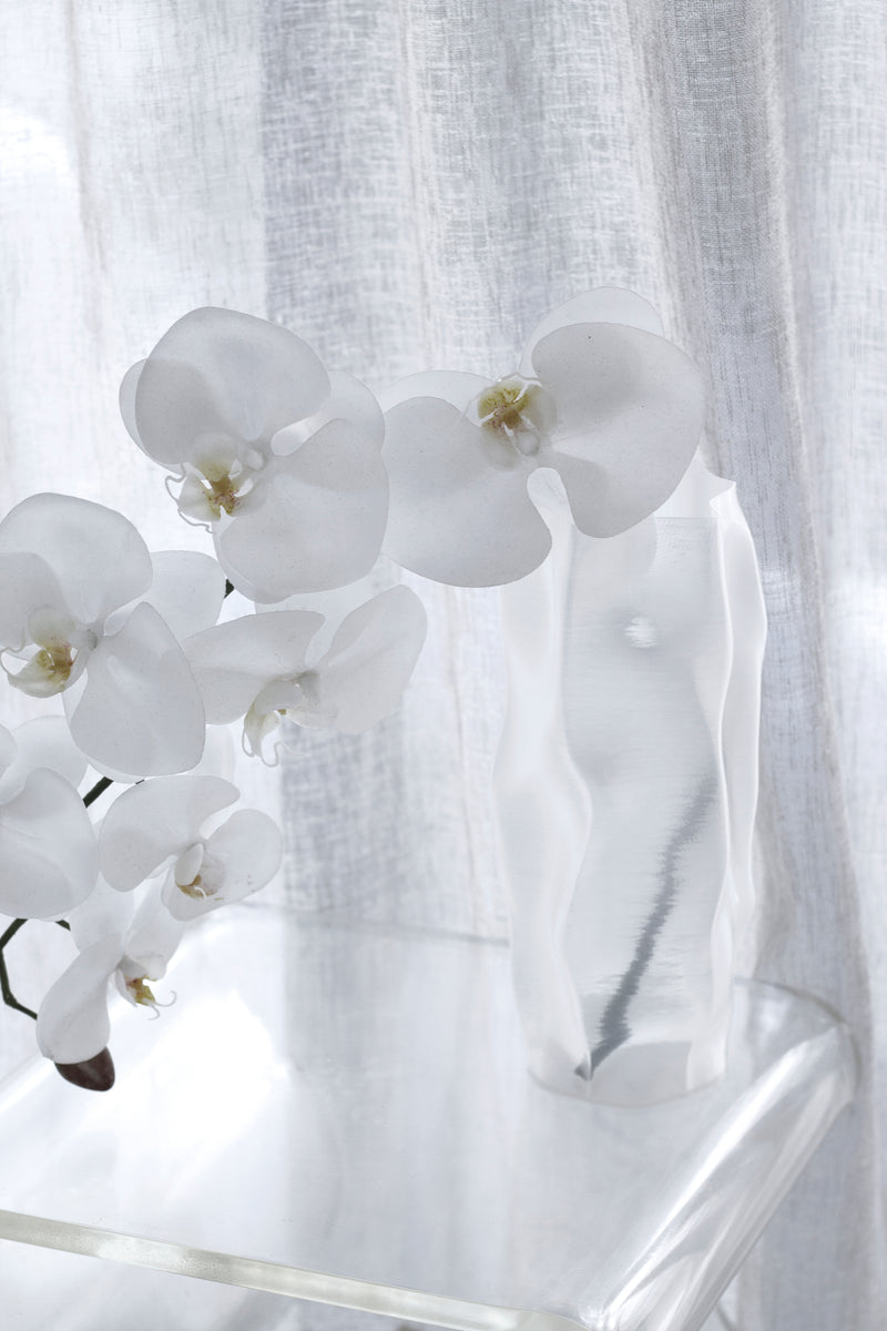 White Phalaenopsis Orchid Large