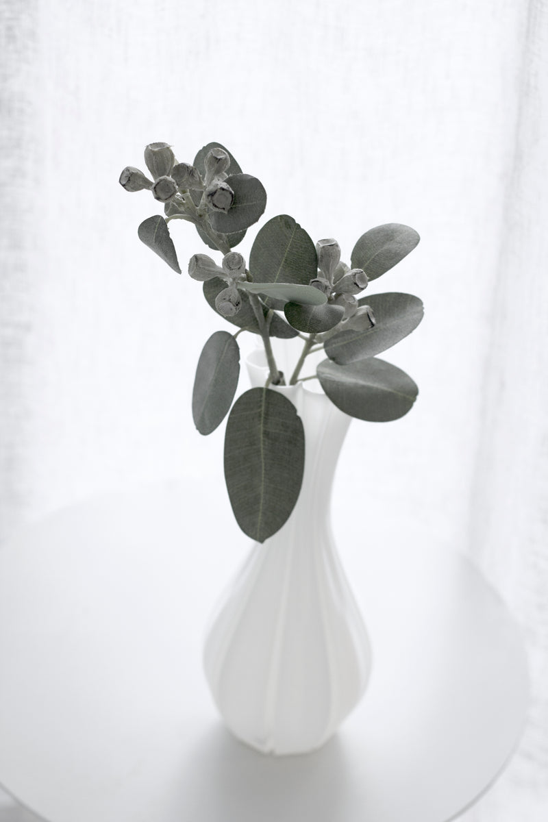 Mini Eucalyptus Pod Spray 40cm