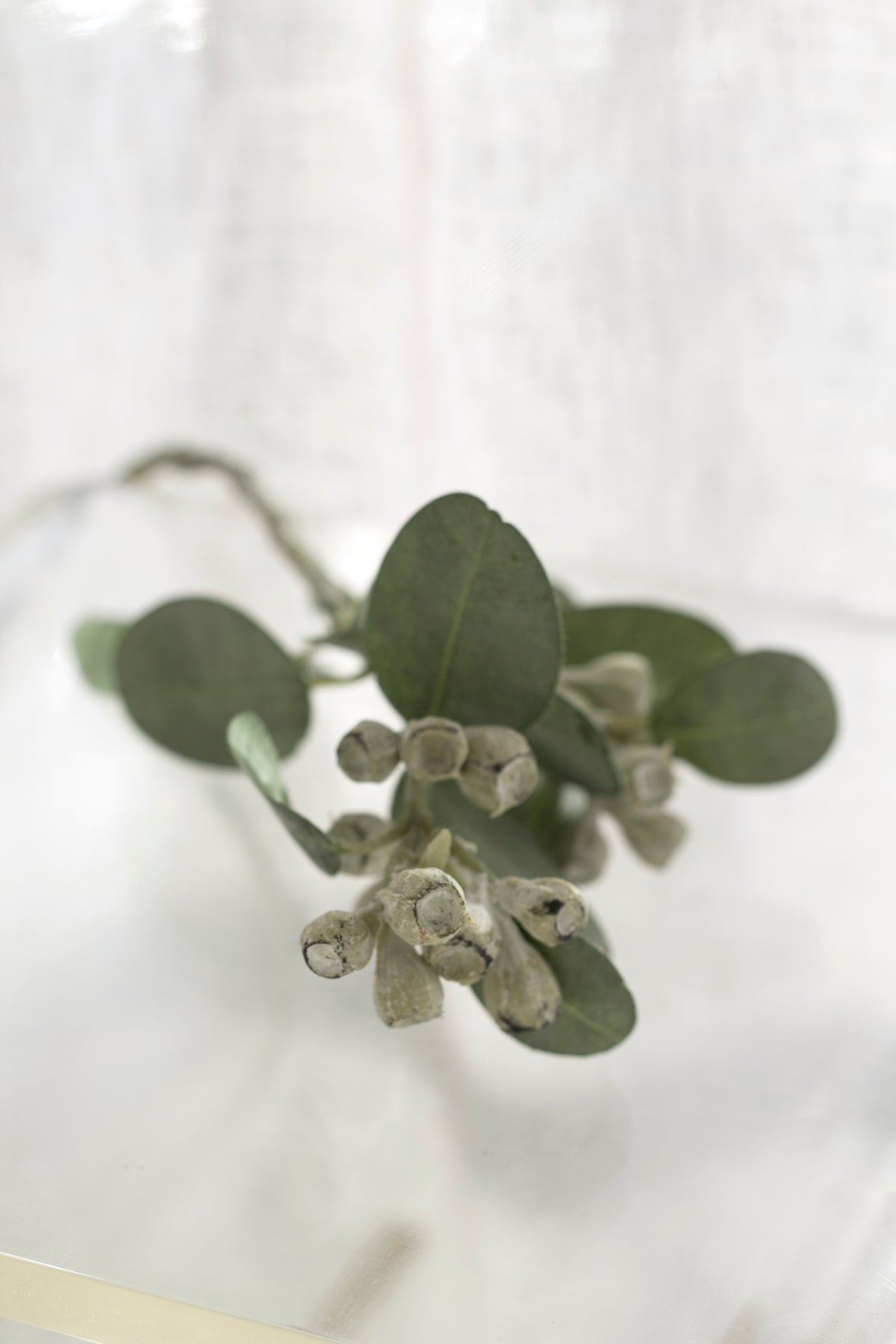 Mini Eucalyptus Pod Spray, 40cm Faux Stem