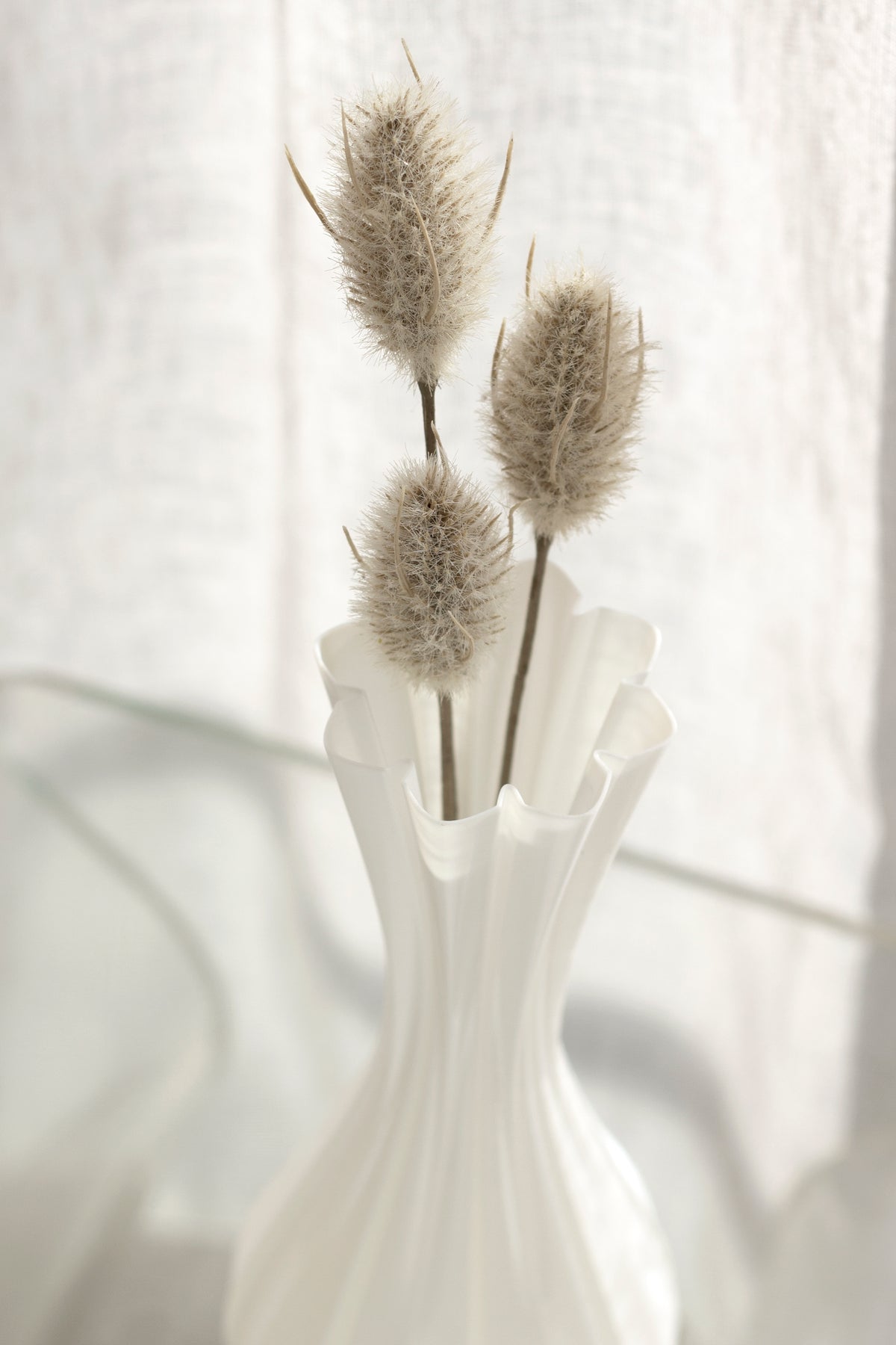 Faux bunny tail stems in a white wavy vase beside a sheer linen curtain