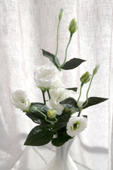 White Lisianthus / Eustoma