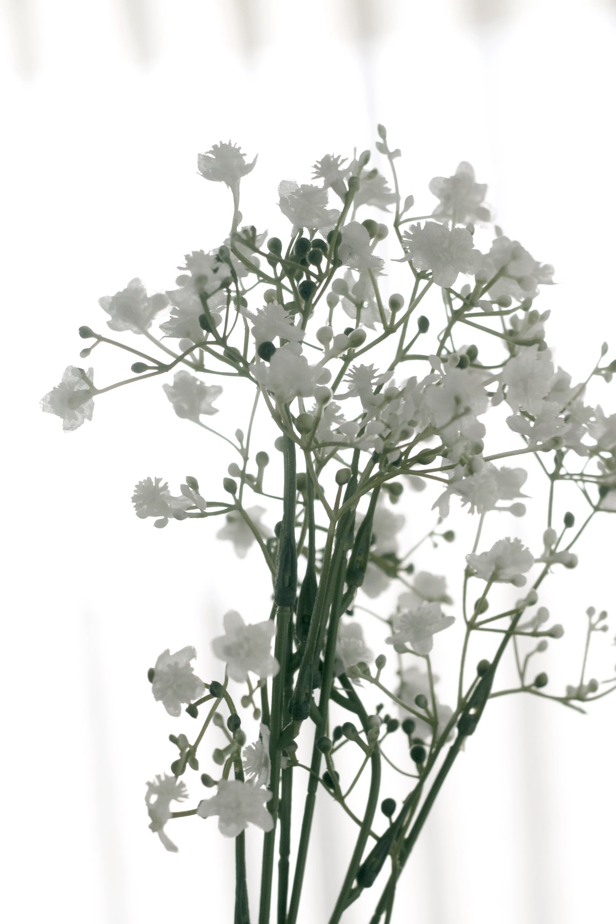 Faux gypsophila stems held against a white background