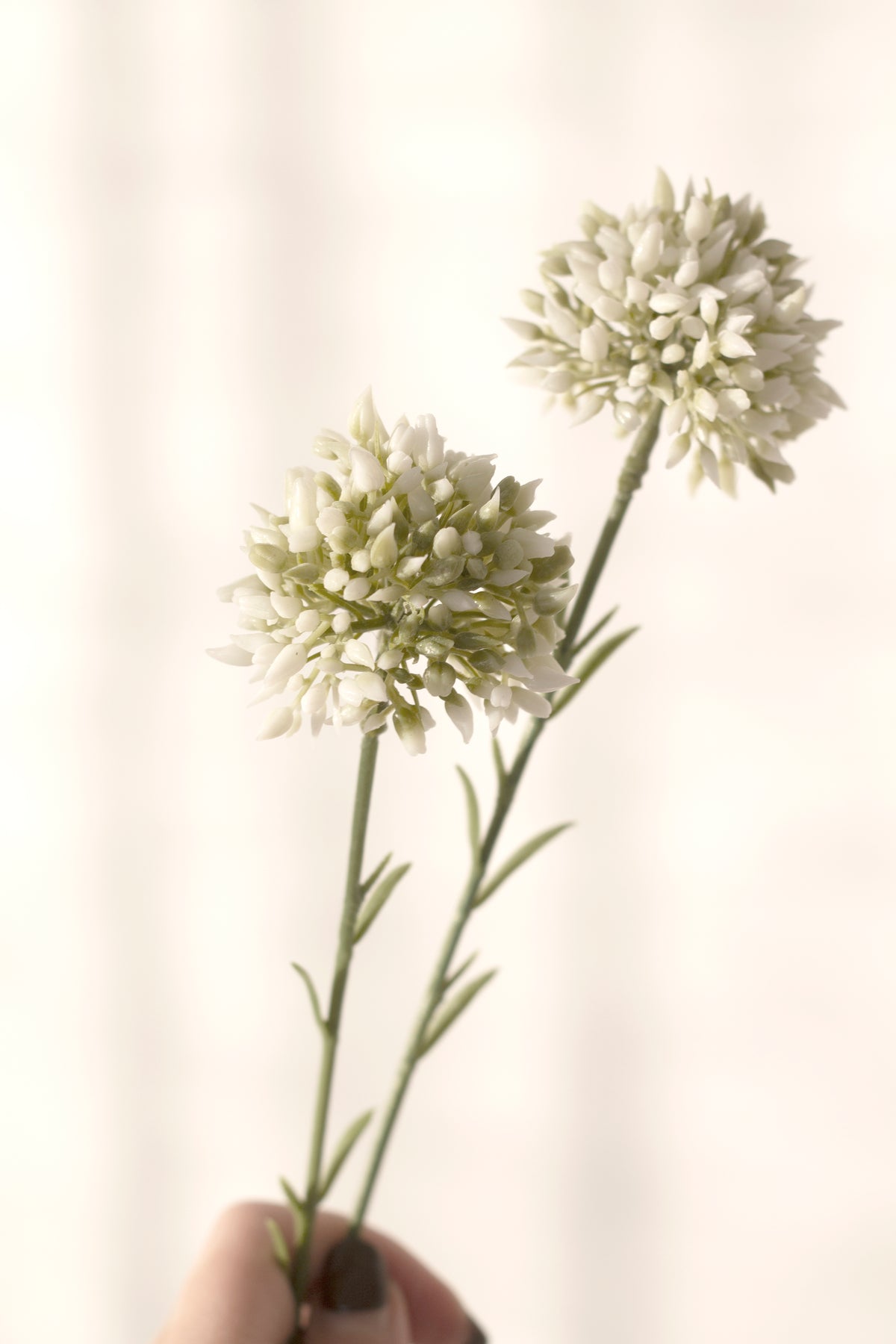 Mini Allium Stem, Cream 46cm Faux Flower