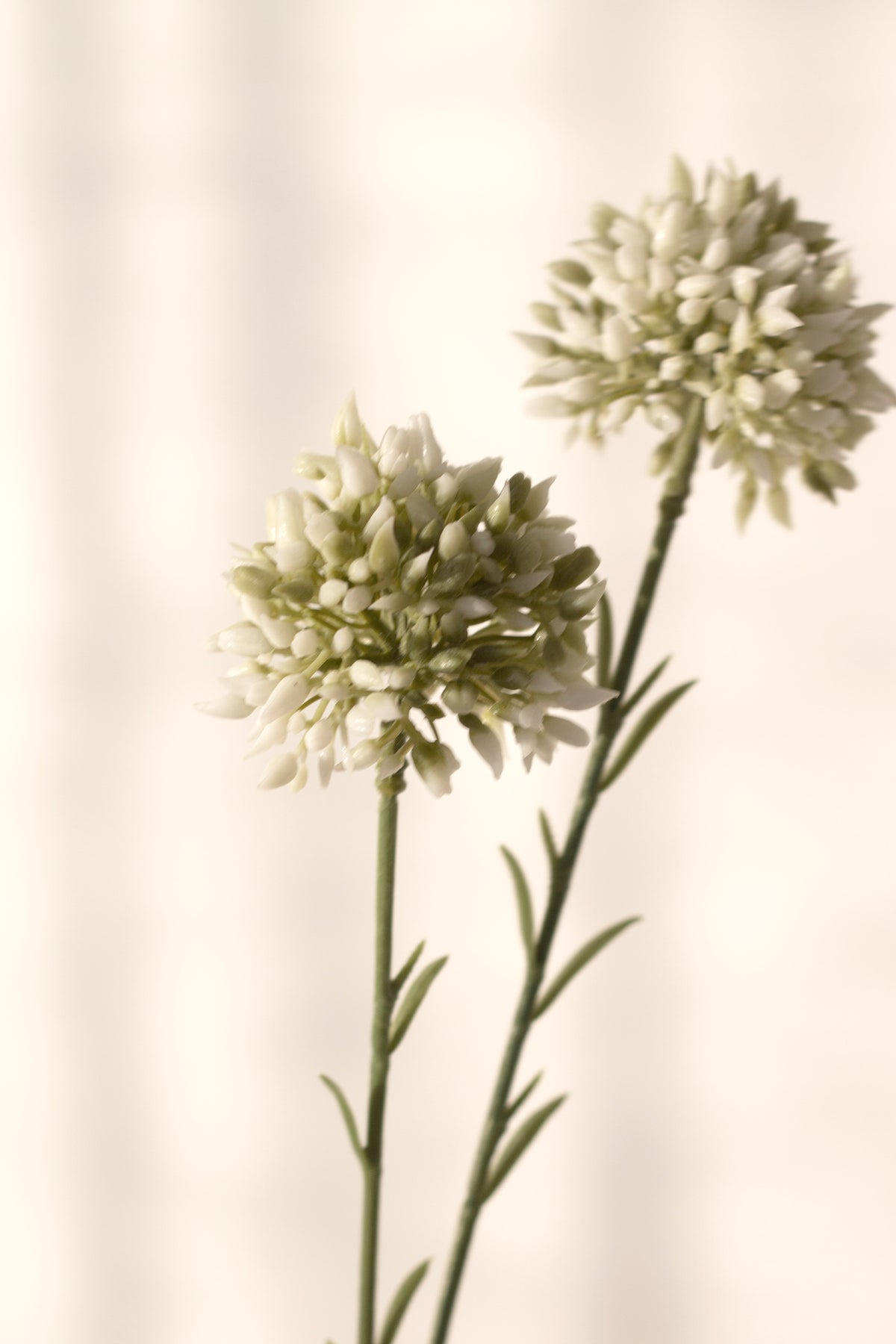 Mini Allium Stem, Cream 46cm Faux Flower
