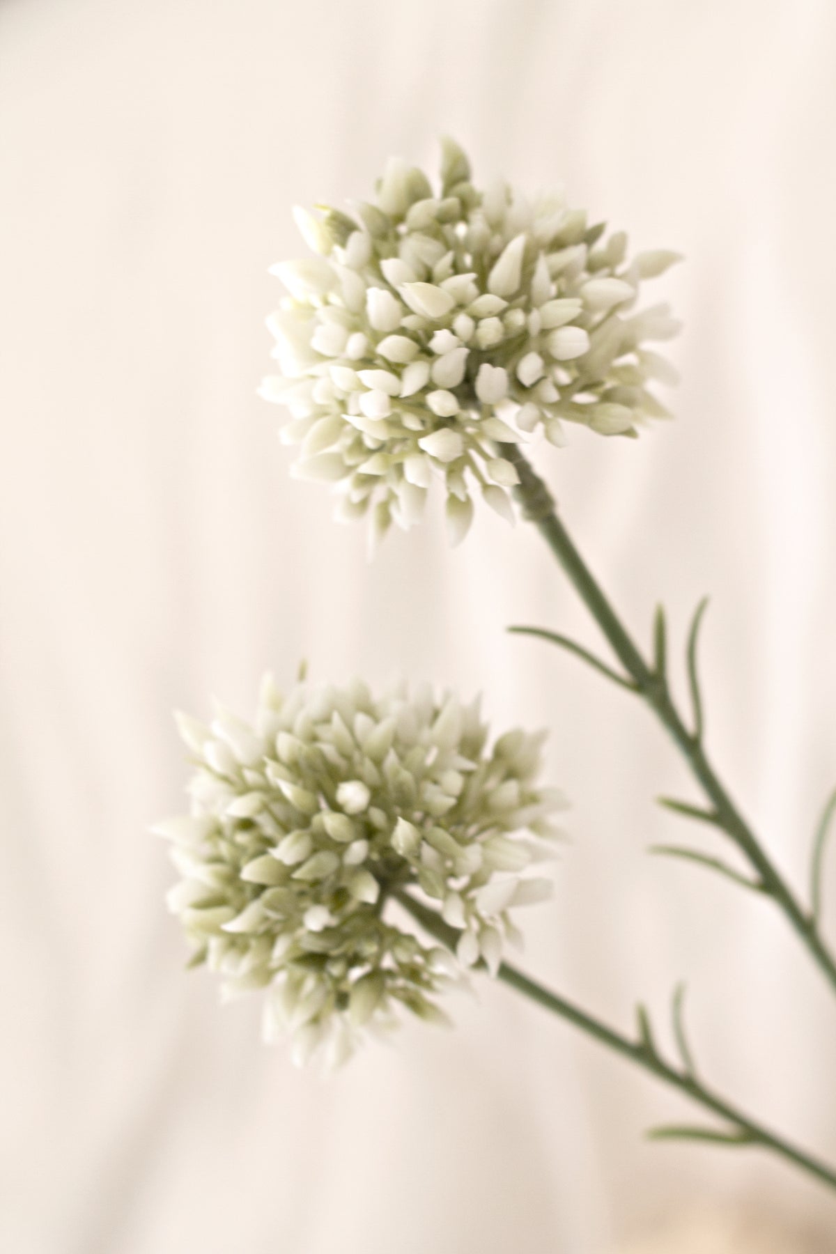 Mini Allium Stem, Cream 46cm Faux Flower