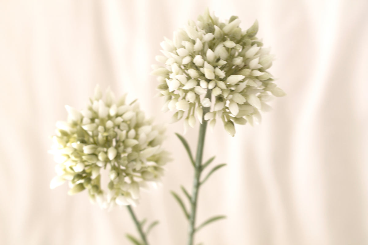 Mini Allium Stem, Cream 46cm Faux Flower